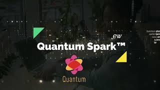 CheckPoint Quantum Spark