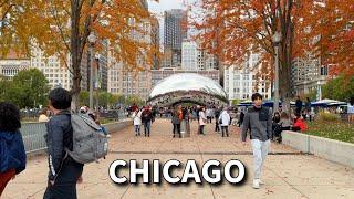 Autumn in Chicago | Michigan Avenue / The Magnificent Mile | Sunday Walk | November 10, 2024 | 4k