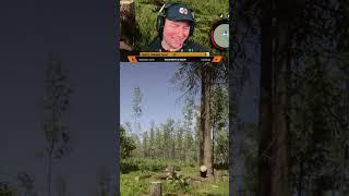 Kelvin wrecks tree shelter