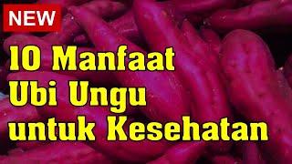 10 Manfaat Ubi Ungu untuk Kesehatan