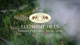 The Elephant Hills Camp, Thailand - All Inclusive Experience