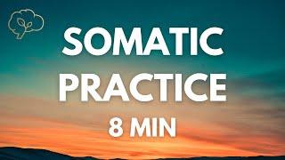 Somatic Exercises for Nervous System Regulation | 8 Min Guided