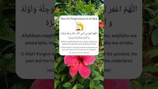 Dua for Forgiveness of all Sins 