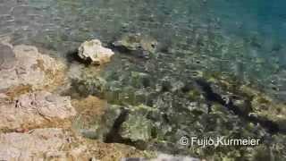 Le limpide acque dell'isola di Cherso