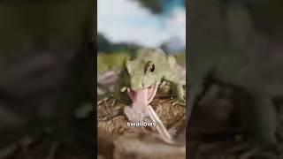 Zack D. Films Memes Part 92 #shorts #zackdfilms #meme #foryou #fyp