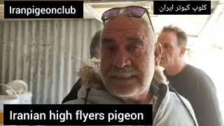 ️مصاحبه  با  آقای سید حبیب مقیمی از تهران_تلو Iranian high flyers pigeon  کلوپ کبوتر ایران