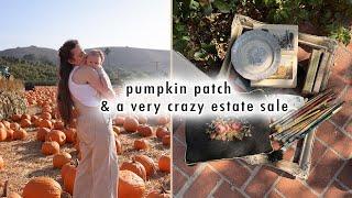 fall pumpkin patch & a very CRAZY estate sale