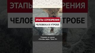 Этапы сотворения человека в утробе || Рустам абу Марьям #ислам #коран #вера #факты #рай #ад #намаз