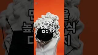 면역력을 높이는 음식 다섯가지 #식습관 #건강 #면역력