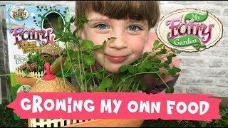 My Fairy Kitchen Garden Review - Dear Mummy Vlog