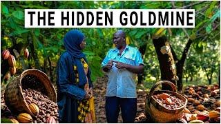 The Untold Wealth in Cocoa Farming - Why Ugandans Are Cashing In!