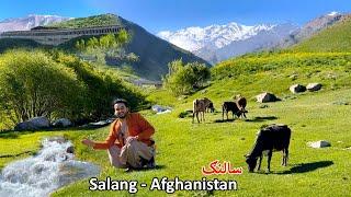 Salang Spring Season | Afghanistan 2024 | د سالنګ تازه حال او هوا