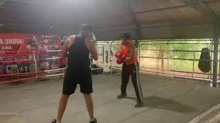 Sparring Session | Reyal for u | amateur boxing