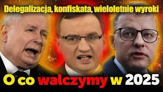 Delegalizacja, konfiskata, wieloletnie wyroki. Rok 2025 powinien być ostatnim rokiem działania PiS