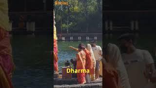 The Essence of Sanatan Dharma: A Timeless Philosophy