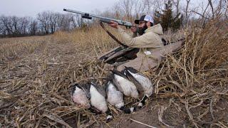 My Best Solo Goose Hunt of 2020!!! (Limit Out)