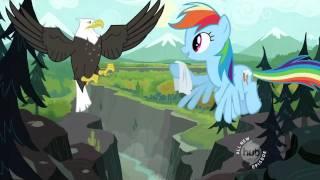 Rainbow Dash - Gesundheit 1