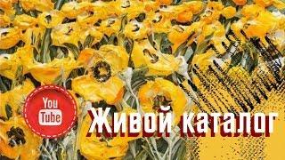 Каталог скидки и акции Сибирское Здоровье Siberian Wellness июль