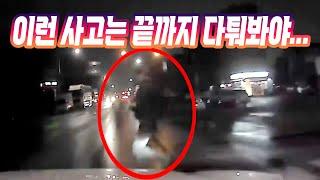 24600회. 비 오는 밤에 달리는 차 앞으로 후다닥 뛰어나와 충돌한 사고