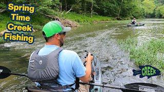 This Beautiful Creek is Loaded with Fish