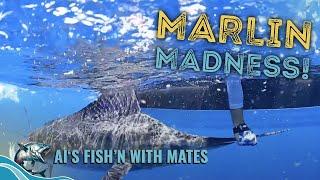 South Coast NSW Fishing Adventure | Al's Fish'n With Mates