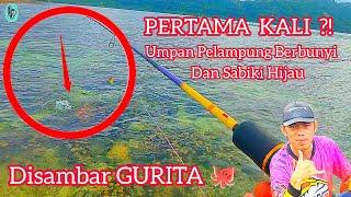 Tak Sadar Di Sambar Gurita  Umpan Pelampung Berbunyi dan Sabiki Hijau!