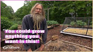 Increasing Soil Fertility | Volunteer Gardener