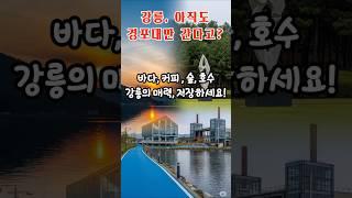 강릉 아직도 경포대만 간다고?