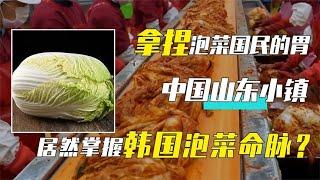 搞定口味刁钻的韩国人，泡菜国“食物危机”，竟是靠我国山东拯救