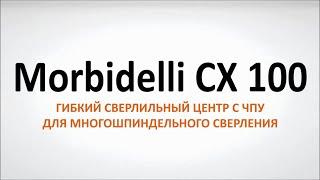 Morbidelli CX 100 - гибкий сверлильный центр с ЧПУ