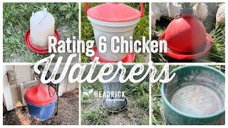 Best Chicken Waterers | 6 Reviews