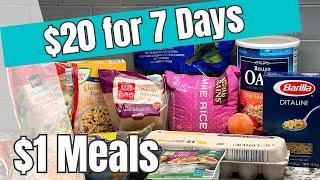 $20 for 7 Days | $3 Dinners | Extreme Budget Meals