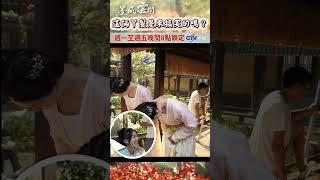 這倆丫鬟是來搞笑的嗎？【墨雨雲間】 #shorts  #墨雨雲間 #吳謹言 #薛芳菲 #花絮 #戲劇 #陸劇 #小婉管樂 #喜劇 #浪姐6 #张小婉 #管乐