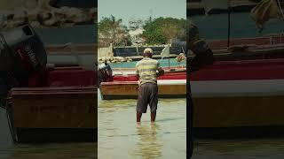 Life of a fisherman #jamaican #movie #documentary