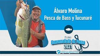 Conversatorio de pesca ImportaExpertos 2021 - Álvaro Molina - Pesca de Bass y Tucunaré
