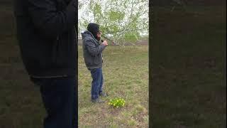 Что видно через сильную оптику наблюдаю в бинокль за коровами в поле кто их пасёт #баженит в деревне
