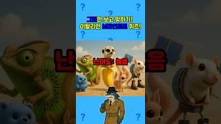 ️ 그림만 보고 정답을 맞힐 수 있을까?  난이도 어려움  #이탈리안브레인롯