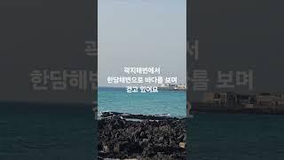 #여자들만의여행그리기 #여행 #풍경그림 #토토 #travel #해외여행 #국내여행 #아름다운사람들 #제주여행 #제주바다#한담해변