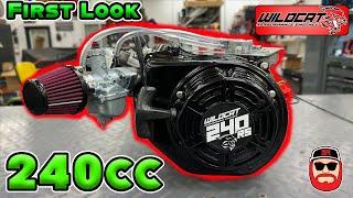 240CC Wildcat 240RS First Look & Teardown