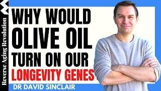 WHY Would OLIVE OIL Turn On Our LONGEVITY GENES? | Dr David Sinclair Interview Clips