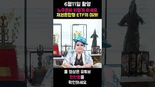 채권혼합형 ETF의 미래 / 25.06.11