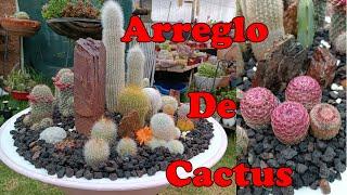 ARREGLO DE CACTUS técnicas y tips #suculentas