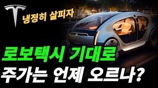 (테슬라) 빠질 때마다 담는 이유는?