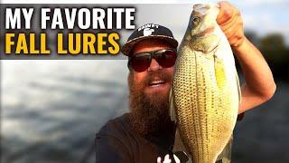 One of THE BEST Fishing Lures For FALL Bank Fishing (Bass Fishing)