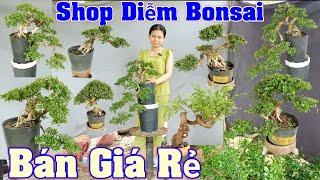 3/6 Diễm LH #0764623996 Bán kiểng Bonsai. Sam Núi Trái Độc đẹp. Me chua Giá Rẻ. Linh Sam rẻ hơn