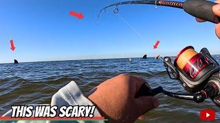 WADE FISHING when things got DANGEROUS! (Florida Saltwater Fishing) *Shark Encounter*