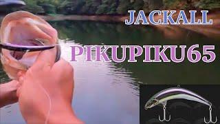 【JACKALL】PIKUPIKU65【Bass Fishing】【TOPWATER】