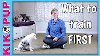 What to Train Your Puppy First