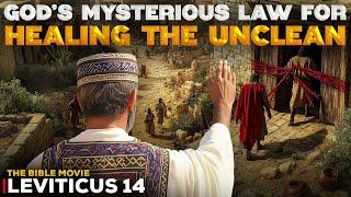 Leviticus 14 Secrets: God’s Mysterious Law for Healing the Unclean @TheBibleMovieOfficial
