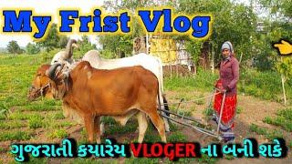 વાડીની મોજ હો  || My Frist Vlog || Village Life Vlogs